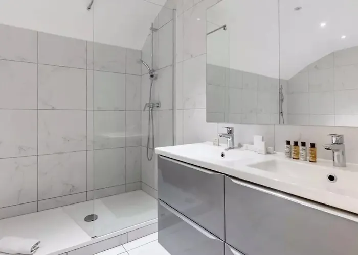 Champs Elysees Berri 巴黎